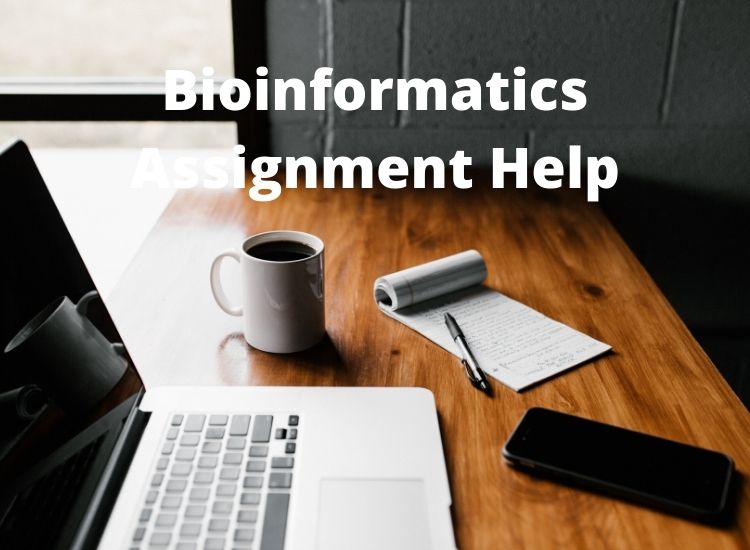 Bioinformatics Assignment Help