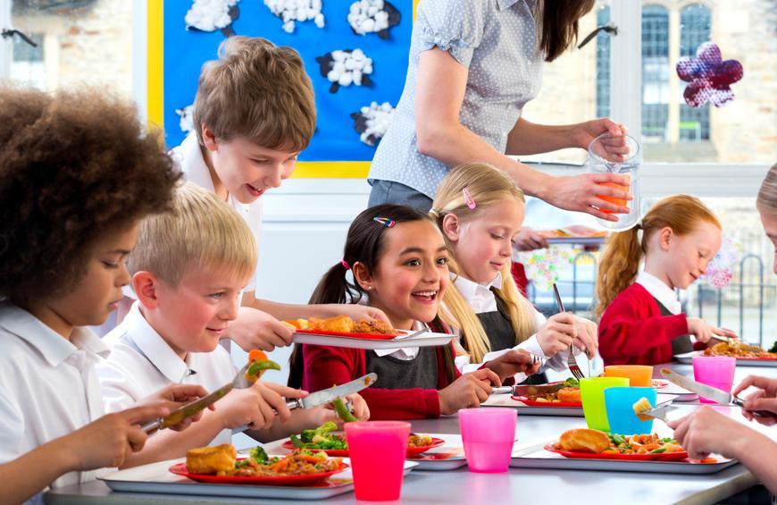 Hot Lunches For School