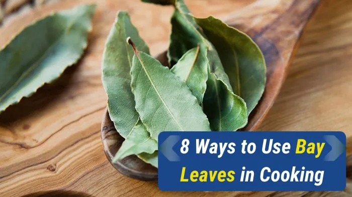 8 Ways to Use Bay Leaves in Cooking