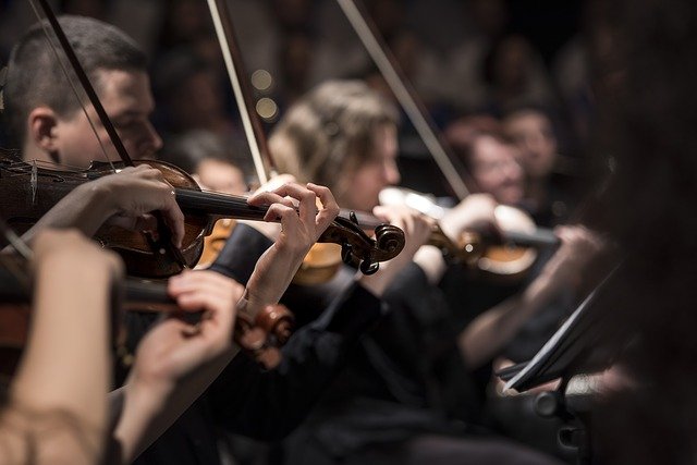 Music NFT artists playing violin