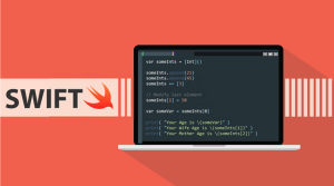 swift Front end programming languages