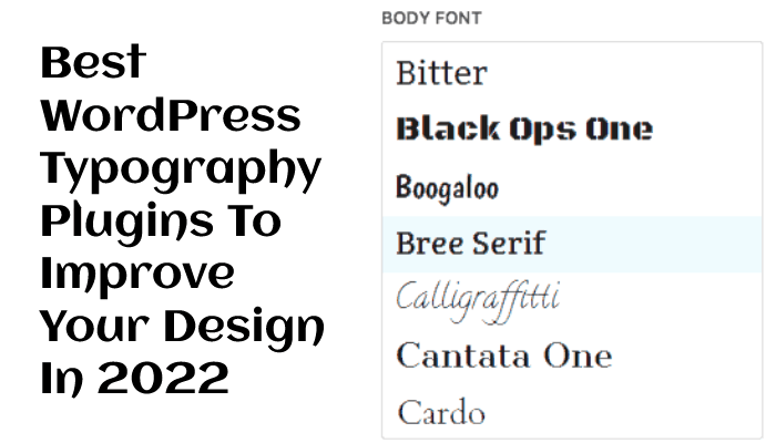 WordPress Typography Plugins