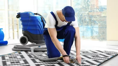 Photo of Your Guide to Picking the Ideal Carpet Cleaning Service in North Shore